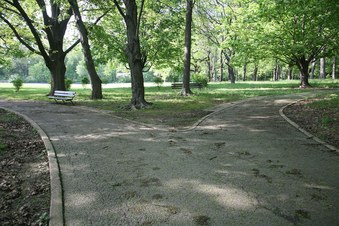 Enlarge photo 5