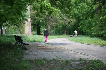 Enlarge photo 7