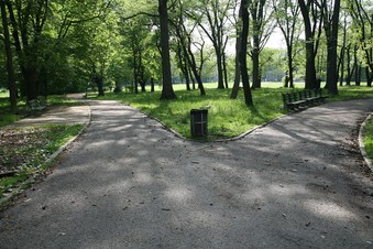 Enlarge photo 9