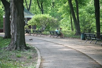 Enlarge photo 10