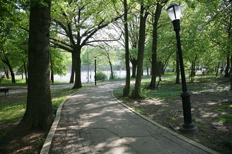 Enlarge photo 15