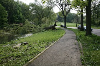 Enlarge photo 19