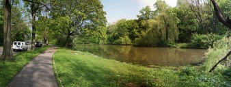 Enlarge photo 20
