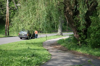 Enlarge photo 24