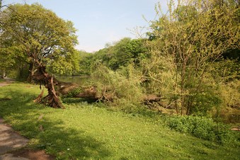 Enlarge photo 25