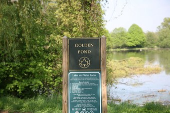 Enlarge photo 26