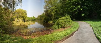 Enlarge photo 27