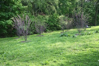 Enlarge photo 28