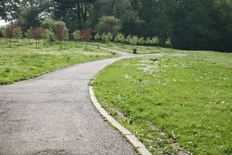 Enlarge photo 29