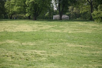 Enlarge photo 30