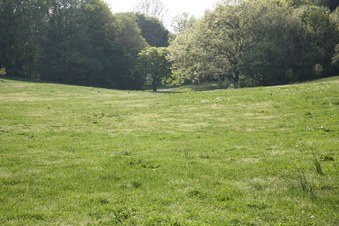 Enlarge photo 31