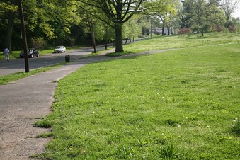 Enlarge photo 32