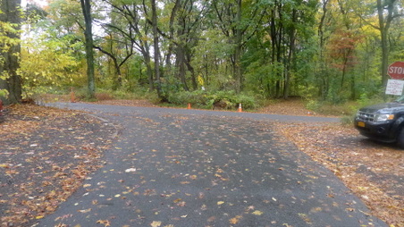 Enlarge photo 8