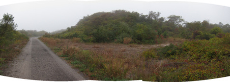 Enlarge photo 7