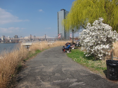 Enlarge photo 19