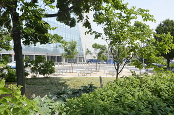 Enlarge photo 7