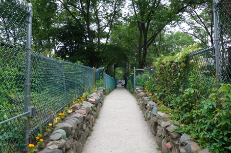Enlarge photo 6