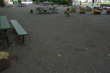 Enlarge photo 63