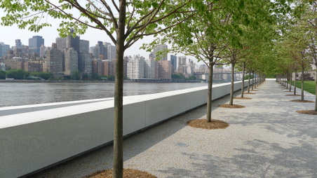 Enlarge photo 43