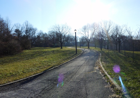 Enlarge photo 2