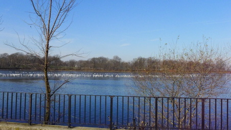 Enlarge photo 5