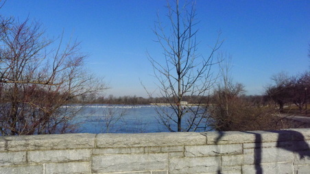 Enlarge photo 23