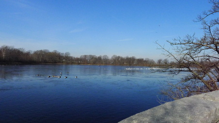 Enlarge photo 24