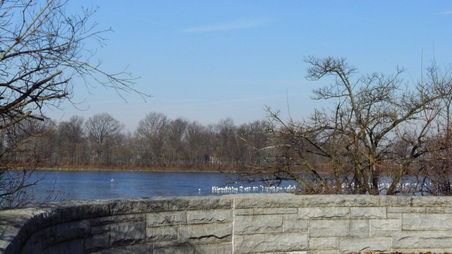 Enlarge photo 26
