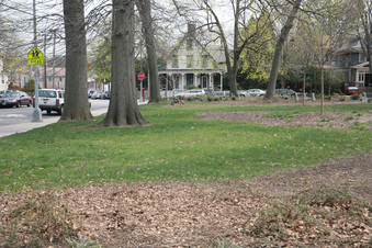 Enlarge photo 17