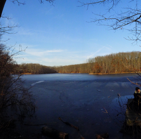 Enlarge photo 4