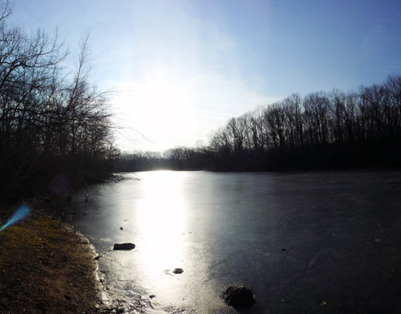 Enlarge photo 6