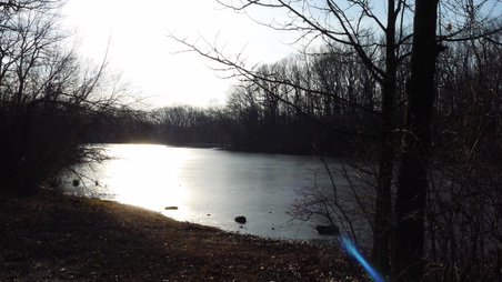 Enlarge photo 7