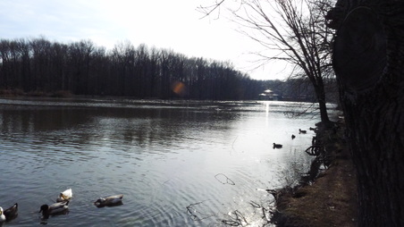 Enlarge photo 2