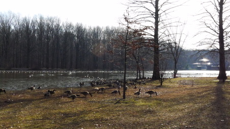Enlarge photo 3