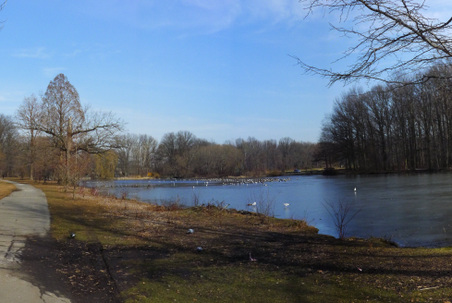 Enlarge photo 5