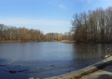 Enlarge photo 6