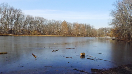 Enlarge photo 7