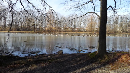 Enlarge photo 8