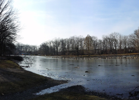 Enlarge photo 9