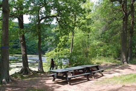 Enlarge photo 3
