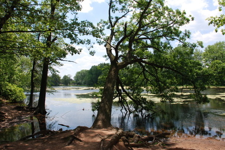Enlarge photo 4