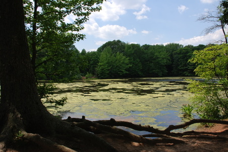 Enlarge photo 5