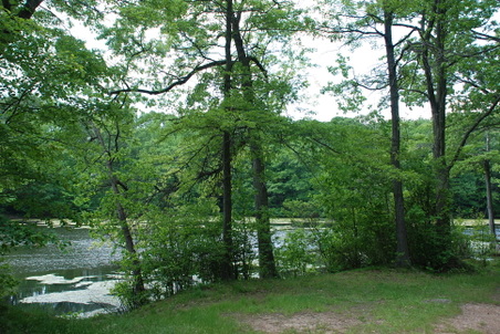 Enlarge photo 8