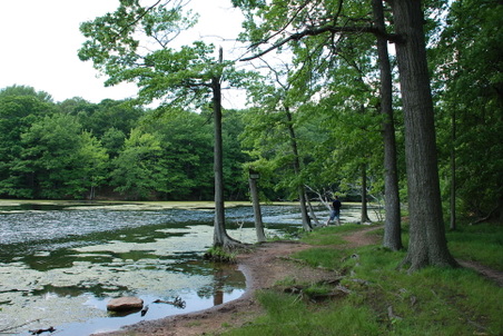 Enlarge photo 9