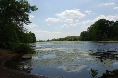 Enlarge photo 11