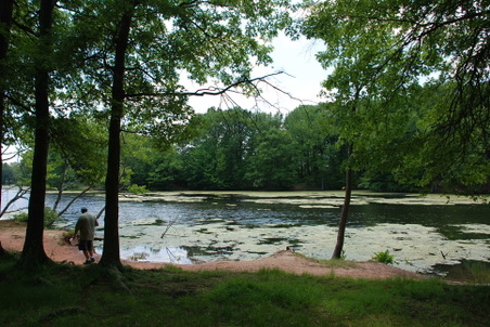 Enlarge photo 14