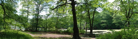Enlarge photo 15