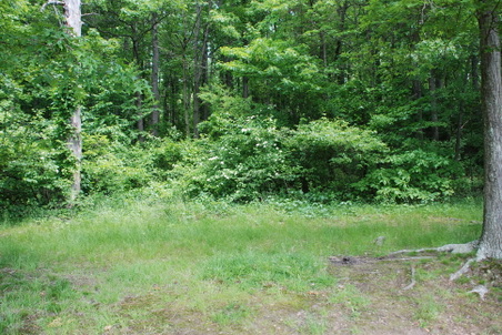 Enlarge photo 16