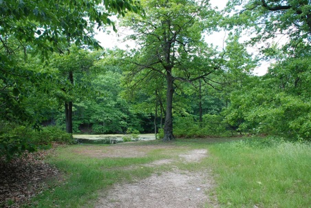 Enlarge photo 17