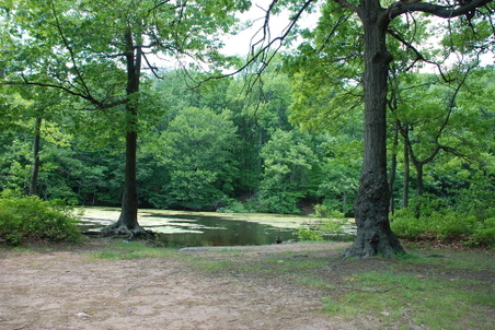 Enlarge photo 18